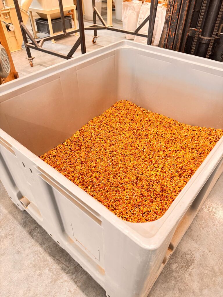 molino-friulbios-produttore-farina-pasta-bio-6